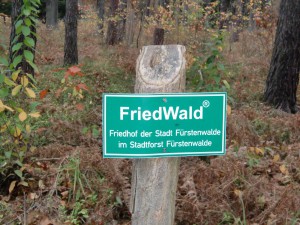 Friedwald