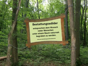 Bestattungswald_1